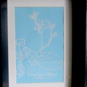 Saxifraga sibthorpii GRECE Botanical design, original creation, plant, white felt and blue paper, framed 16x21x5 image 4