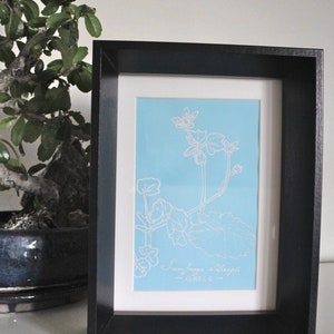 Saxifraga sibthorpii GRECE Botanical design, original creation, plant, white felt and blue paper, framed 16x21x5 image 2