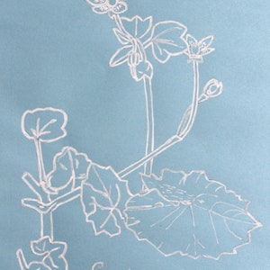 Saxifraga sibthorpii GRECE Botanical design, original creation, plant, white felt and blue paper, framed 16x21x5 image 3