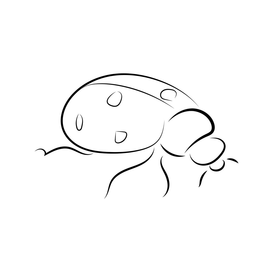 Ladybug Animal DIGITAL Download Print Line Drawing Sketch - Etsy