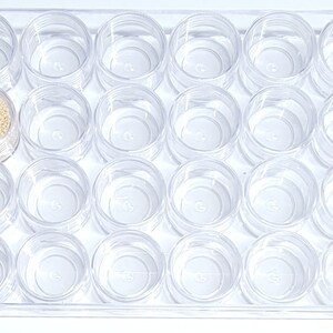 Bead Storage Box ~ Clear Box w/24 Individual Jars with Lids ~ Dimensions Below ~ This Listing is for One Box ~