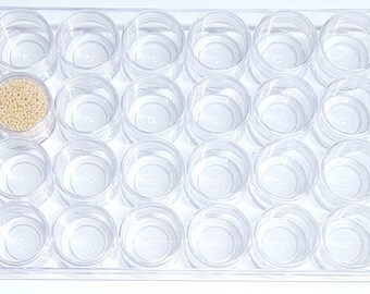 Bead Storage Box ~ Clear Box w/24 Individual Jars with Lids ~ Dimensions Below ~ This Listing is for One Box ~