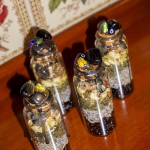 May include: Four small glass bottles filled with dried herbs, flowers, and crystals. The bottles have black wax seals and are topped with various colored crystals.