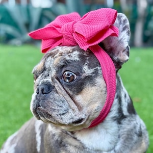 Fabulous Fido Cute Pet Headband, Stylish Headband for Small & Large Dogs Elastic Soft Dog Head accessories Pet Lover Gift Christmas Headband