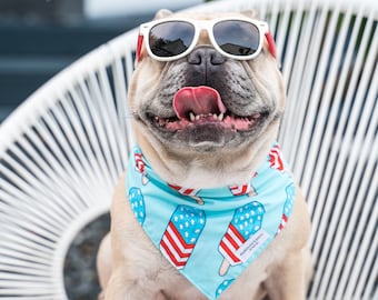 Fabuleux accessoires bandana Fido pour chien français, écharpes en coton de qualité supérieure pour chien, cadeau pour chien de la fête de l'indépendance du 4 juillet