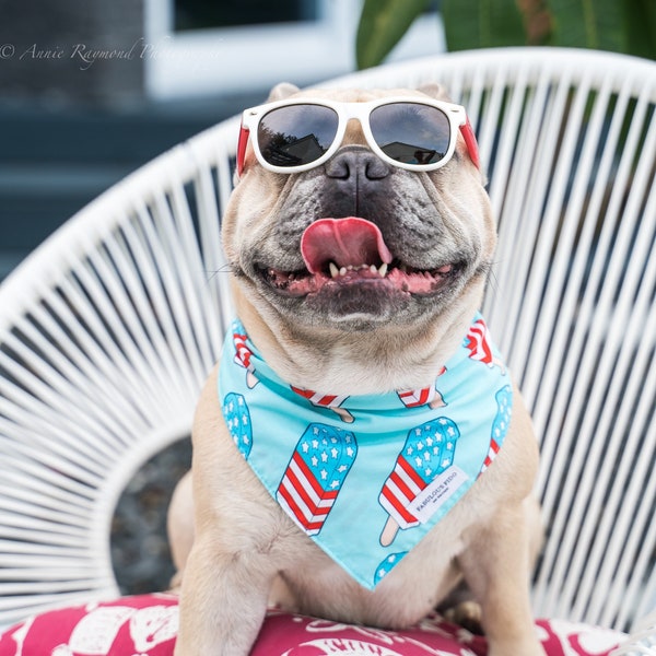 Fabuleux accessoires bandana Fido pour chien français, écharpes en coton de qualité supérieure pour chien, cadeau pour chien de la fête de l'indépendance du 4 juillet