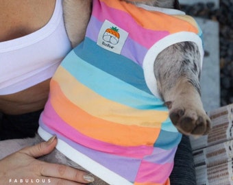 Breathable Cotton Rainbow Striped Shirt for Dogs and Cats, Casual Summer Clothes for Pets, Costumes For Small Breeds, Ideal Gifts For Puppy