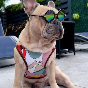 May include: A French bulldog wearing a pink and white dog harness with a cartoon design and black sunglasses that say "L'Aveugle Par Amour".