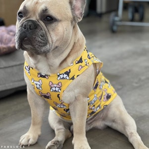 Cooling Dog Shirt, French & English Bulldog Costumes, Perfect Gifts for Pet Lovers, Outfit for Summer