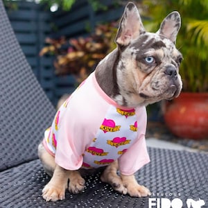 May include: A French bulldog wearing a pink and white short-sleeved shirt with a heart and "LOVE" print. The dog has blue eyes and is sitting on a black wicker chair.