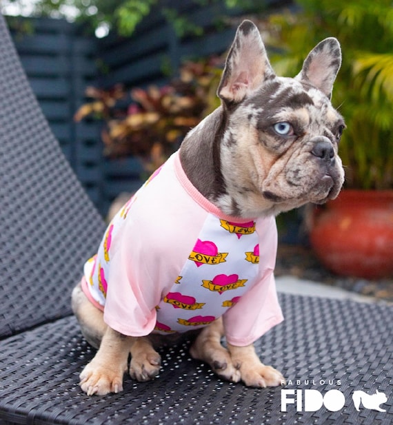 Etsy french bulldog clothes clearance