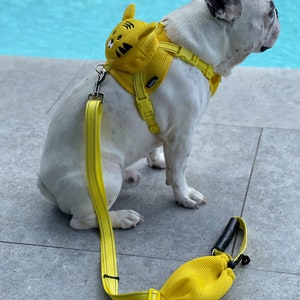 Fabulous Fido Cute Dog Harness and Leash Set Dog Backpack FRenchies Bulldog No Pull Harness Dog Travel Backpack Small Pet Accessories