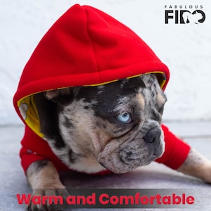 French Bulldog Clothing Etsy Australia