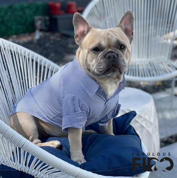 Designer clothes for french bulldogs sales