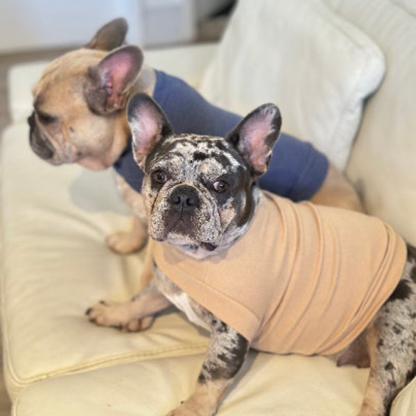 Fabulous Fido Frenchie Knitwear, Classic Dog Apparel, Comfortable Fleece Pet Shirt, Warm Sweater for Dogs & Cats, French Dog Lover Gift
