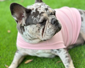 Fabulous Fido Frenchie Knitwear, Classic Dog Apparel, Comfortable Fleece Pet Shirt, Warm Sweater for Dogs & Cats, French Dog Lover Gift