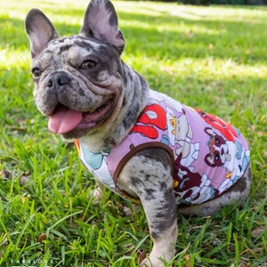 May include: A French Bulldog wearing a pink and brown sleeveless dog shirt with a cartoon dog print. The dog is sitting on green grass.