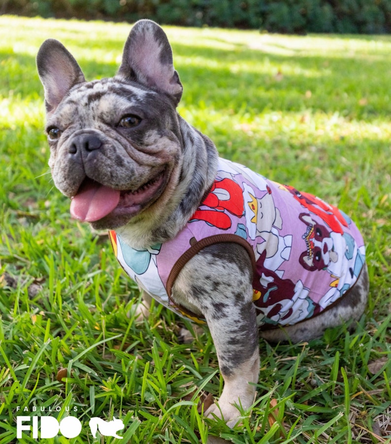 May include: A French Bulldog wearing a pink and brown sleeveless dog shirt with a cartoon dog print. The dog is sitting on green grass.