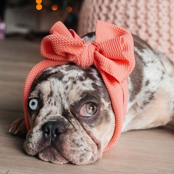 Dog Headband Etsy