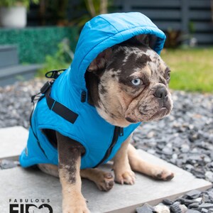 Fabulous Fido French Bulldog Reflective Waterproof Raincoat, Lightweight Dog Raincoat with Leash Hook, Adjustable Colorful Dog Raincoat