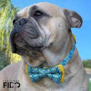Trendy Bow-Tie Collar for Dogs and Cats - Adorable Birthday Accessory and Gift for Small Pets