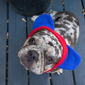 Fabulous Fido Warm Winter Large Hat, French Bulldog Hat, Mini Fleece Dog Hat, Soft Bulldog Hat Cute Christmas Dog Gift, Dog Fashion, Dog Cap