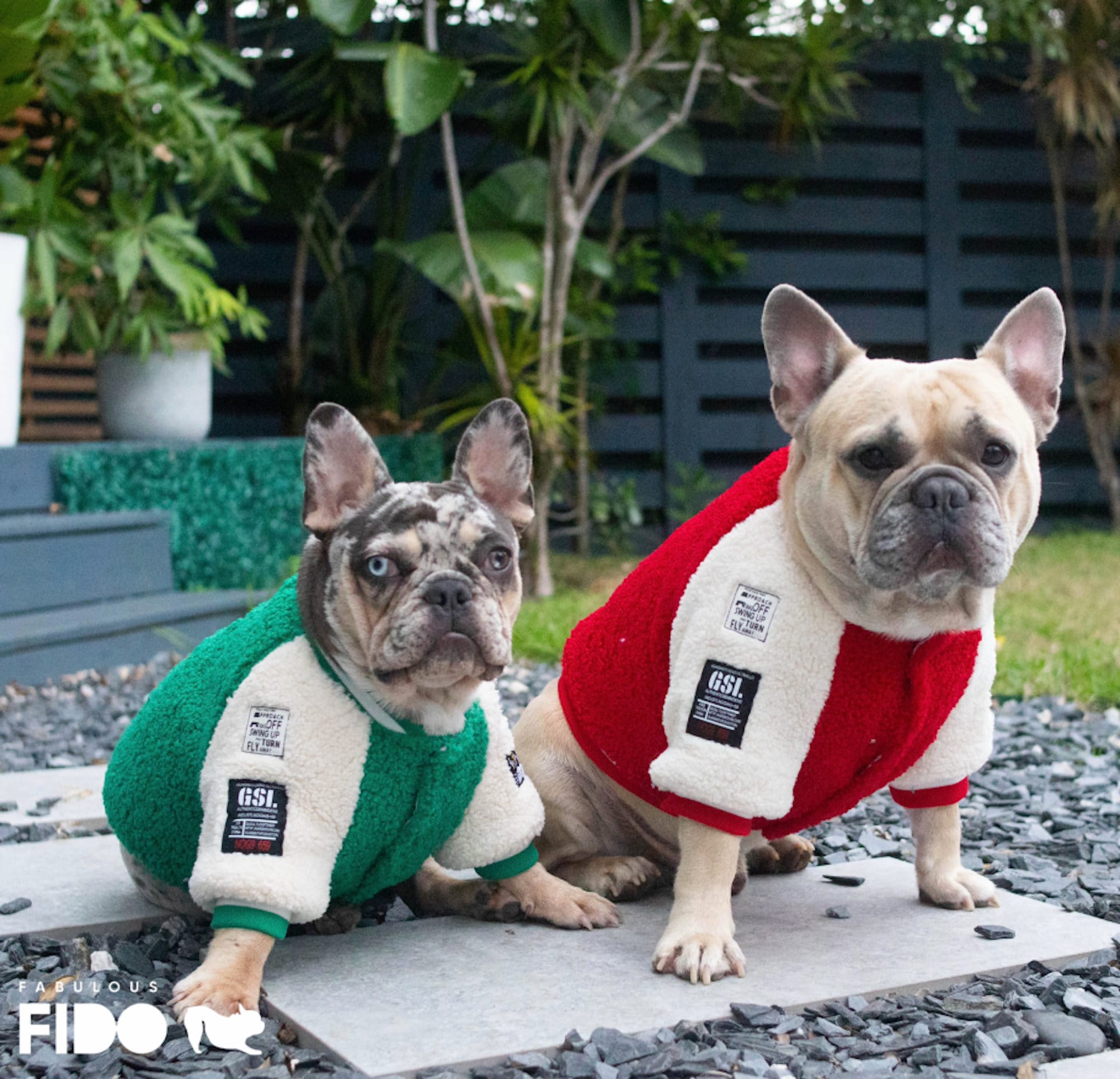 Chewy Bear Dog Jacket - Frenchie Complex Shop