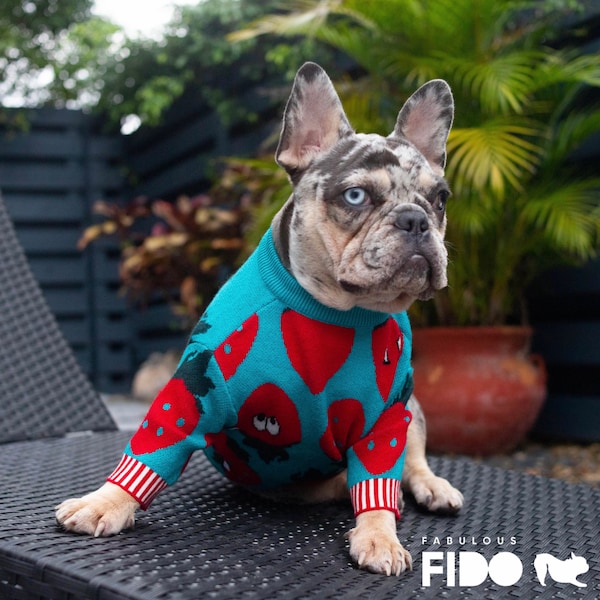 Bulldog Clothing Etsy