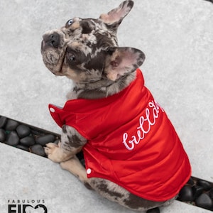 Fabulous Fido French Bulldog Vest, Winter Dog Jacket for Small & Large Dogs, Warm French Bulldog Clothes,  Washable Pet Clothing for Autumn