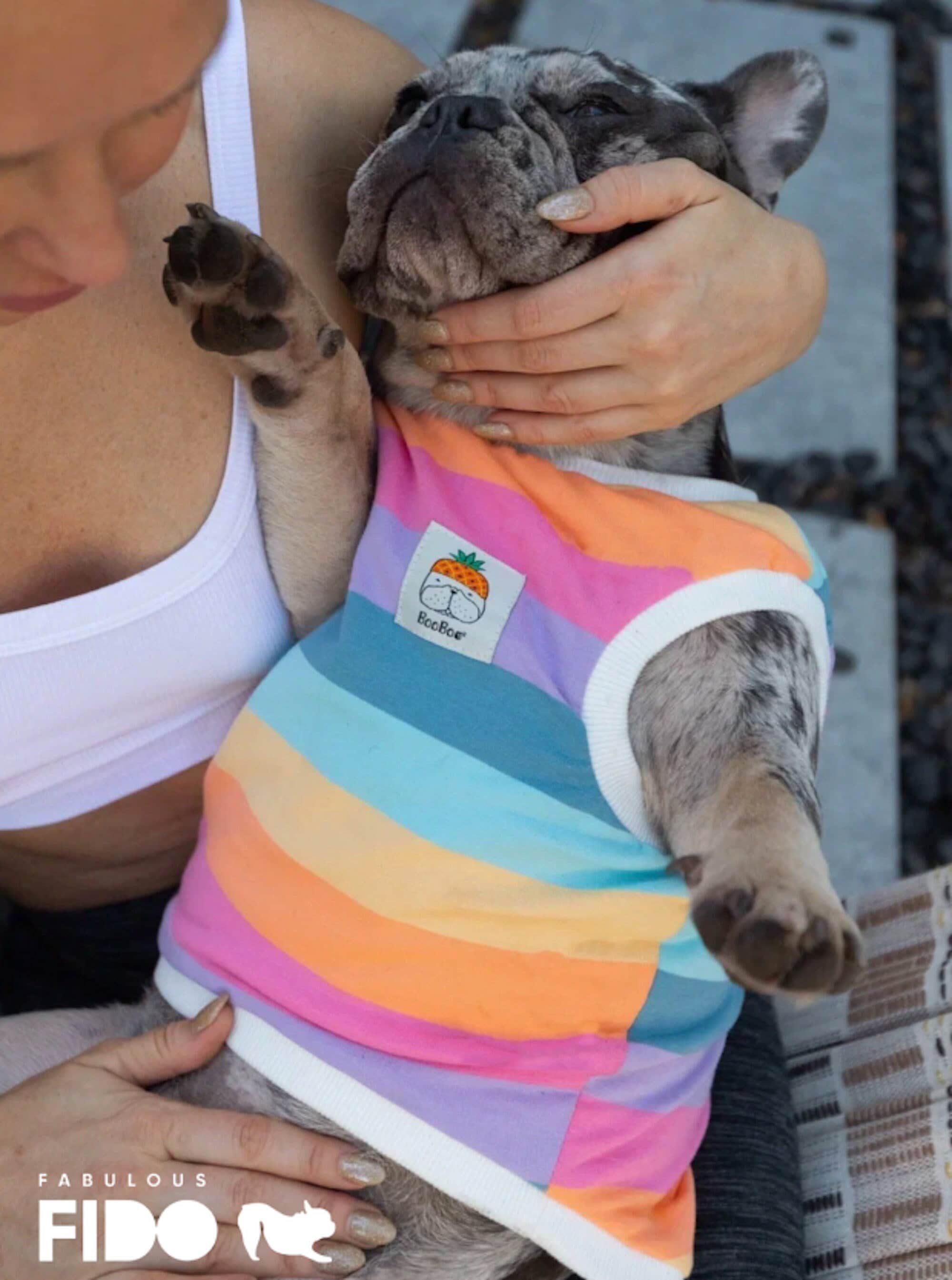 Bulldog Bathing Suit Etsy