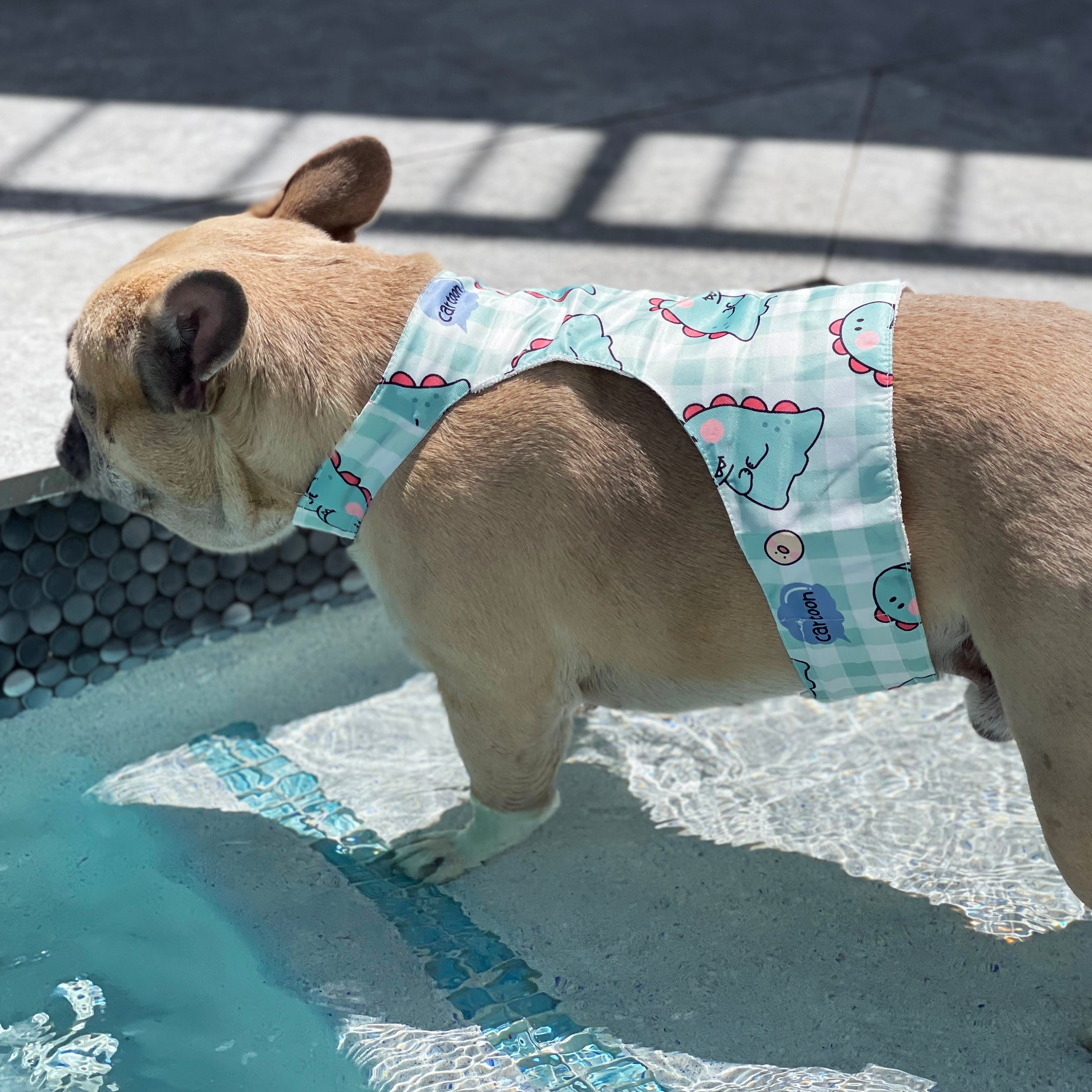 dog cooling clothes