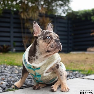 Fabuleux Fido Français Bulldog Warm Vest, Vêtements pour chiens du Nouvel An doré, Veste festive pour petits et grands chiens, Vêtements chauds Français Bulldog