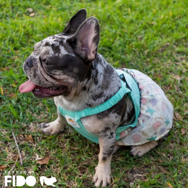 Fabuleux Fido, jolie robe/jupe de bouledogue français de créateur pour petit chien de taille moyenne, chiot chihuahua carlin, vêtements robe costume, cadeau d'été pour chien