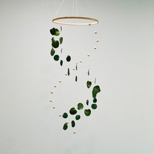 Eucalyptus mobiel, Eucalyptus baby mobiel, groen mobiel, plant mobiel, Boho mobiel, blad mobiel, groene kwekerij, genderneutraal mobiel