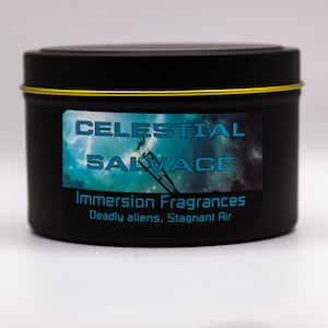 Celestial Salvage - Gaming Inspired Scented Candle