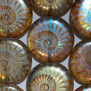 17mm coin bead, amber picasso with laser AB etched spiral/nautilus design, genuine Czech glass, set of 2 or 4 beads