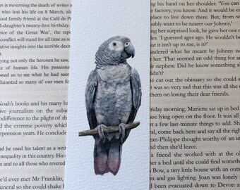 African grey parrot bookmark, printed watercolour bookmark paper, cute animal bookmark bird bookmark