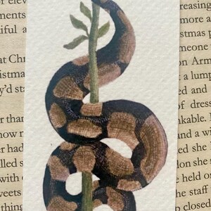 May include: Watercolour illustration of a snake coiled around a green stem with leaves. The snake has a brown and black pattern. The background is a page from a book.