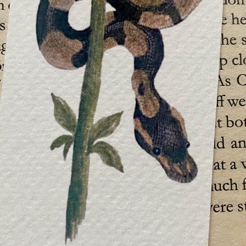 May include: A detailed illustration of a snake coiled around a green stem with leaves. The snake has a brown and black pattern, with a dark head and small, dark eyes. The artwork is on a white background.