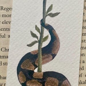 May include: Watercolour illustration of a snake coiled around a green plant stem with leaves. The snake features a brown and black pattern. The background is a book page with text.