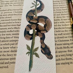 May include: A watercolour illustration of a snake wrapped around a green stem. The snake is brown and black. The artwork is on a white background, with text from a book visible in the background.