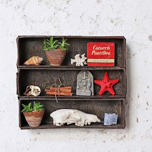 Peut inclure: Une étagère en métal à trois niveaux avec divers objets sur chaque étagère, notamment une petite plante en pot, une coquille, une étoile de mer, une petite statue, des bâtonnets de cannelle, un crâne et une pierre bleue. L'étagère supérieure comporte une boîte rouge avec le texte "Catarrh Pastilles".