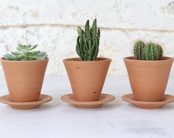 Set van 3 mini-terracotta plantenpotten