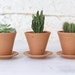 Mini Terracotta Plant Pot - Etsy