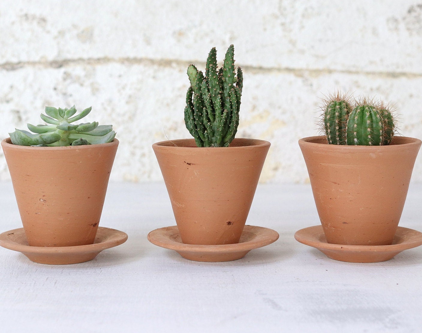 Set Of 3 Mini Terracotta Plant Pots