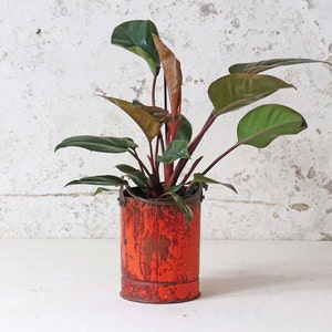Upcycled Metal Planter