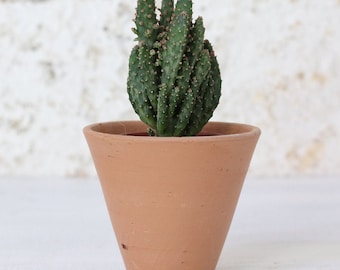 Mini Terracotta Plant Pot