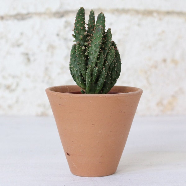 Mini Terracotta Plant Pot