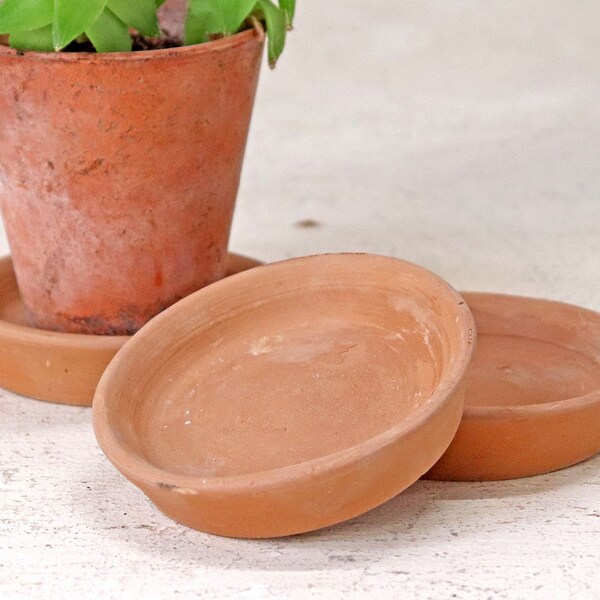 Terracotta Saucer Pot Etsy UK