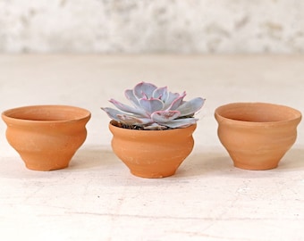 Set of Terracotta Tea Cups